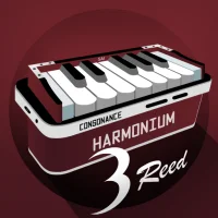 Harmonium 3 Reed